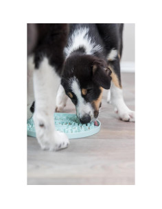 Alfombrilla para Lamer TRIXIE 20 cm - Alimentador Lento para Perros y Gatos 2