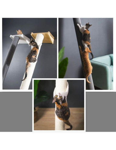 Árbol de Gato de Pared Shengocase 199 cm con Hamaca y Rascador