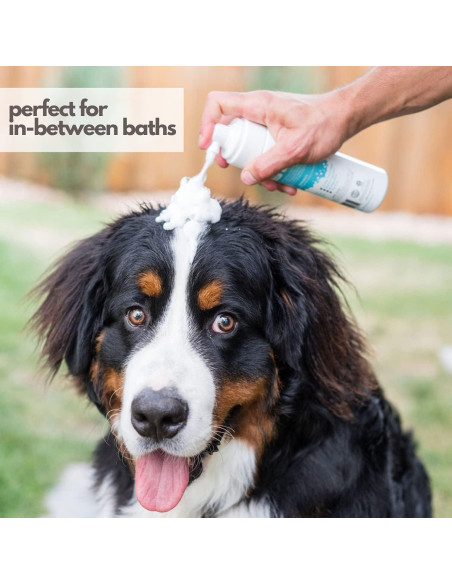 Champú Seco Hipoalergénico Mighty Mutt 236.6 ml Brisa Fresca