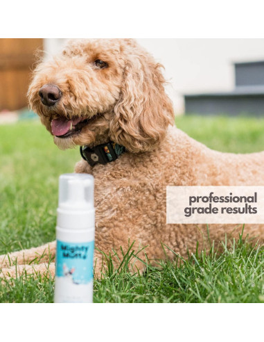Champú Seco Hipoalergénico Mighty Mutt 236.6 ml Brisa Fresca
