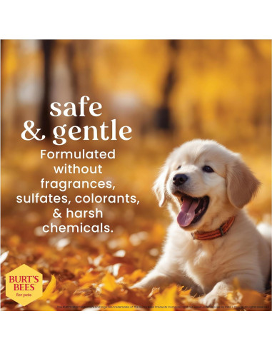 Champú para Cachorros Sin Llorar Burt's Bees 946 ml Natural