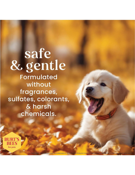 Champú para Cachorros Sin Llorar Burt's Bees 946 ml Natural