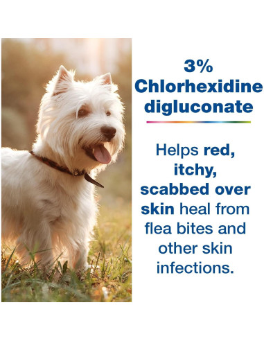 Douxo S3 Pyo Mousse 150ml - Antiséptico e Hidratante para Perros