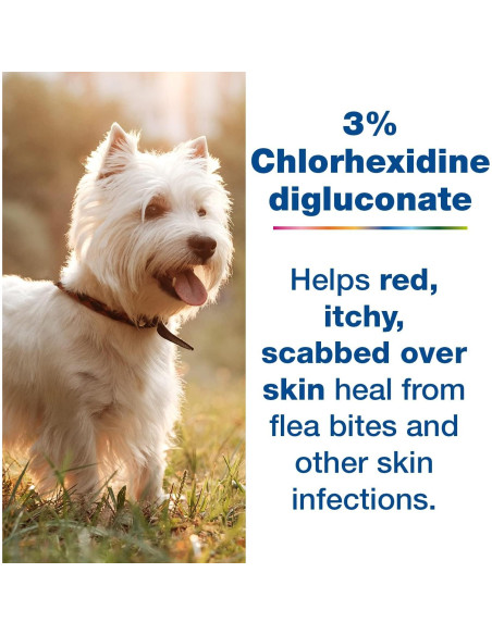 Douxo S3 Pyo Mousse 150ml - Antiséptico e Hidratante para Perros