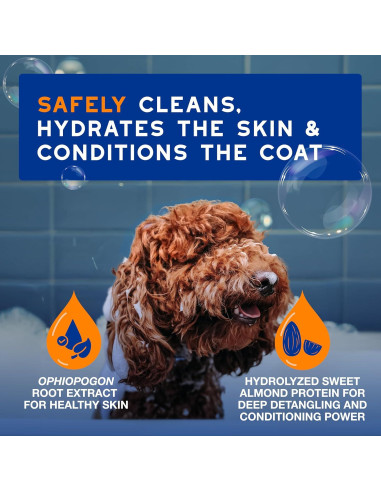 DOUXO Champú Acondicionador 2 en 1 para Perros 473 ml