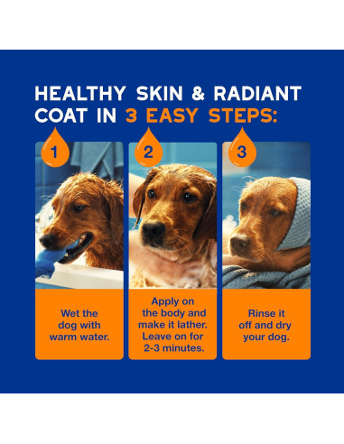 DOUXO Champú Acondicionador 2 en 1 para Perros 473 ml