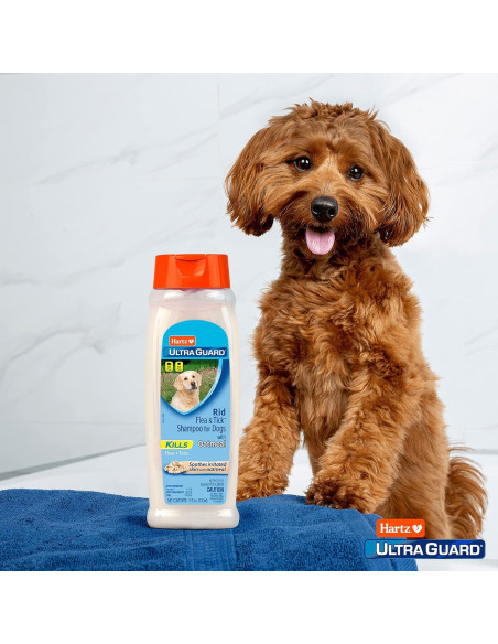 Champú para perros Hartz UltraGuard Rid 532 ml contra pulgas