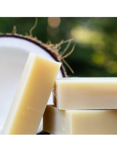 Champú y Acondicionador Orgánico para Perros Chagrin Valley 107g