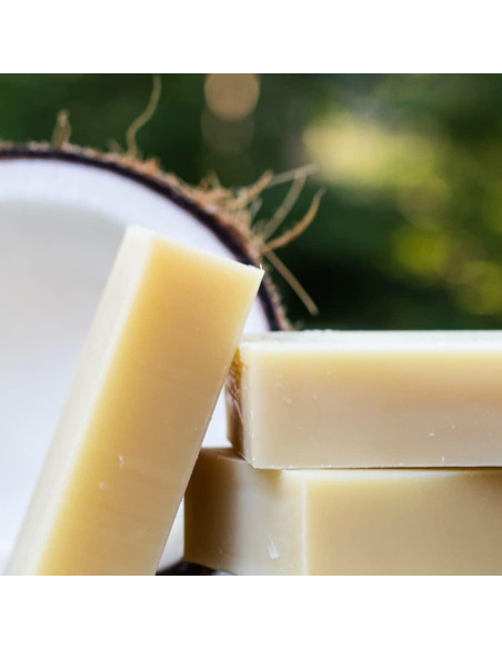 Champú y Acondicionador Orgánico para Perros Chagrin Valley 107g