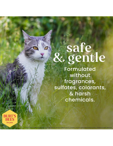 Champú Hipoalergénico para Gatos Burt's Bees 295 ml - Suave y Natural