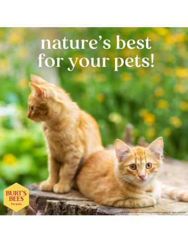 Champú Hipoalergénico para Gatos Burt's Bees 295 ml - Suave y Natural