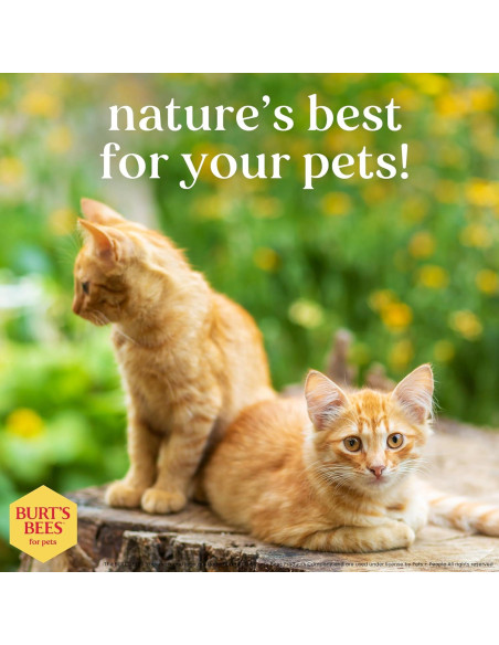 Champú Hipoalergénico para Gatos Burt's Bees 295 ml - Suave y Natural