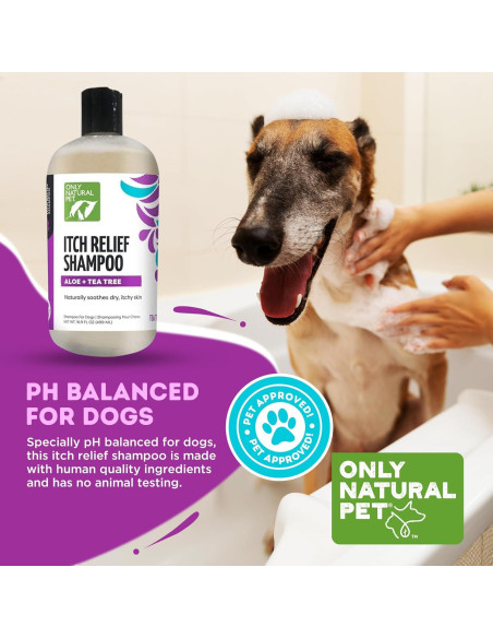 Champú Alivio Picazón Only Natural Pet 478 g Aloe Árbol Té