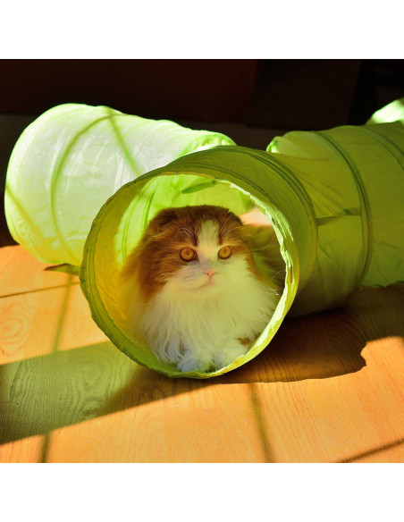 Túnel para gatos Youngever 4 vías plegable 39.9x24.1x34 cm