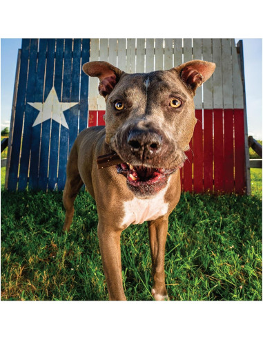 Get Naked Calming Dental Sticks para Perros 187 g Sabor Pollo