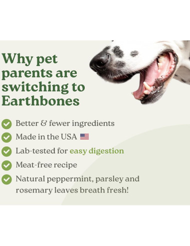 Masticables Dentales Earthbones para Perros 30 Huesos 9-23kg