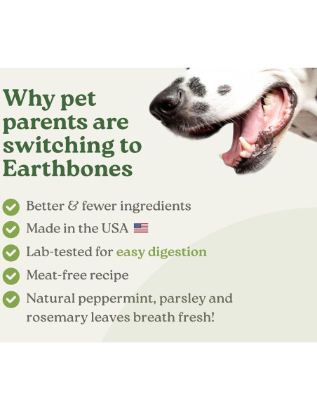 Masticables Dentales Earthbones para Perros 30 Huesos 9-23kg