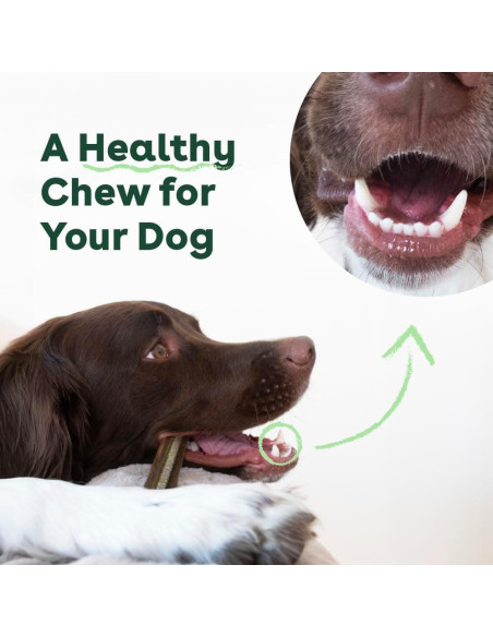 Pupford Dental Chews para Perros 30 Unidades 10.16 cm