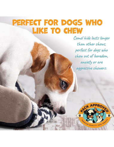 Masticables de Piel de Camello Pack Approved 90.72g - Hipoalergénicos