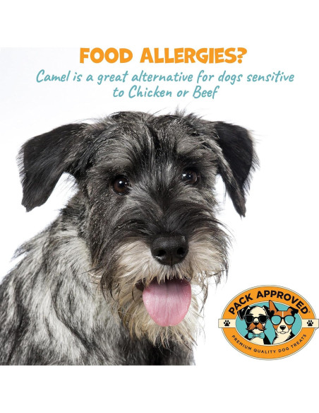 Masticables de Piel de Camello Pack Approved 90.72g - Hipoalergénicos