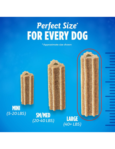 Masticables Dentales DentaLife ActivFresh para Perros Grandes 2x992g