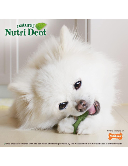 Masticables Dentales Nutri Dent para Perros Sabor Menta Fresca - 5.6 oz