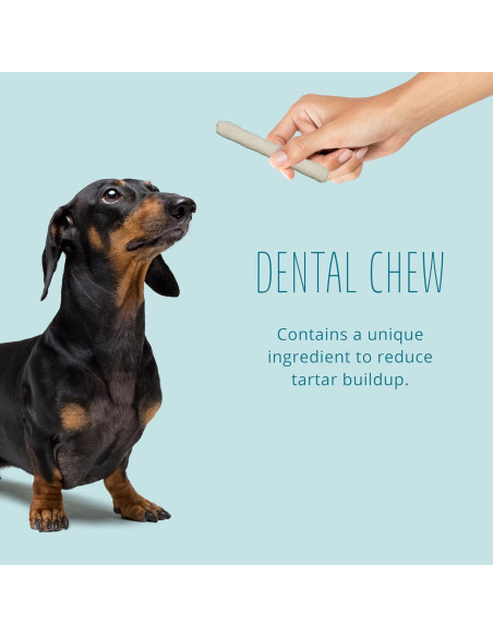 Masticables Dentales para Perros Mejor Barriga 10 Unidades 8.9-10.2 cm