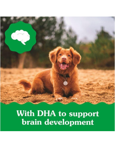 Golosinas Dentales para Cachorros Greenies Original 340 g