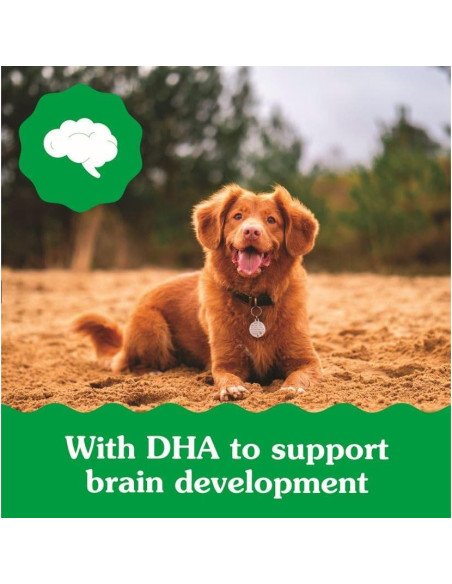 Golosinas Dentales para Cachorros Greenies Original 340 g