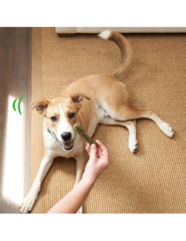 Golosinas Dentales para Cachorros Greenies Original 340 g