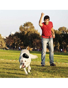 KONG Extreme Juguete para Perros Grandes - Caucho Natural Duradero - Paquete de 2 2