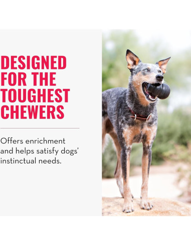 KONG Extreme Juguete para Perros Grandes - Caucho Natural Duradero - Paquete de 2