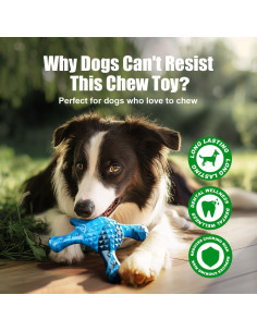 Juguete de Masticar para Perros Ouilter Erizo Azul 280g 2