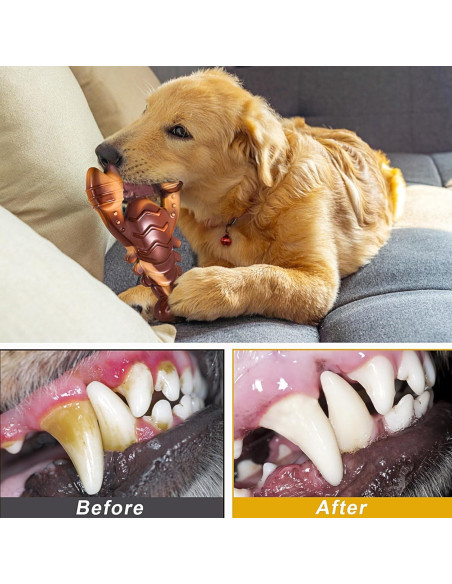 Juguete Indestructible para Perros NEZIN Sabor Carne 20cm