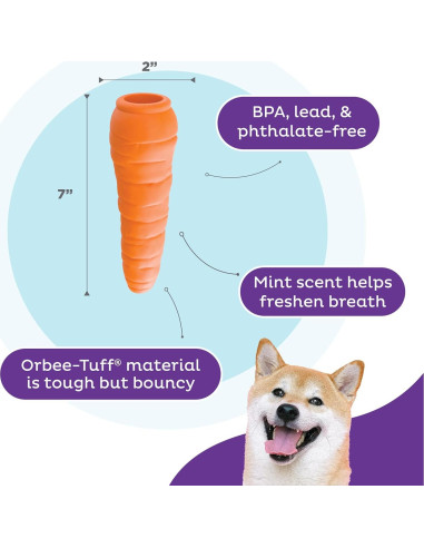 Juguete Masticable Outward Hound Zanahoria 18.4cm para Perros
