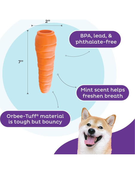 Juguete Masticable Outward Hound Zanahoria 18.4cm para Perros