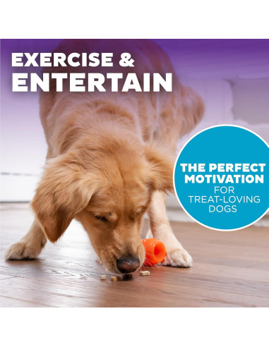 Juguete Masticable Outward Hound Zanahoria 18.4cm para Perros