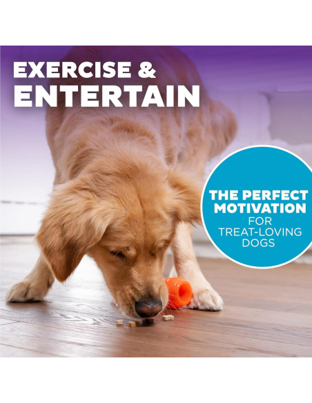 Juguete Masticable Outward Hound Zanahoria 18.4cm para Perros