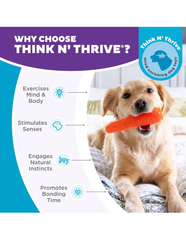 Juguete Masticable Outward Hound Zanahoria 18.4cm para Perros