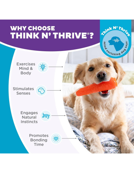 Juguete Masticable Outward Hound Zanahoria 18.4cm para Perros