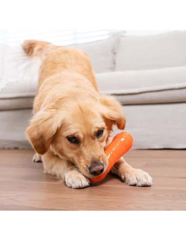 Juguete Masticable Outward Hound Zanahoria 18.4cm para Perros