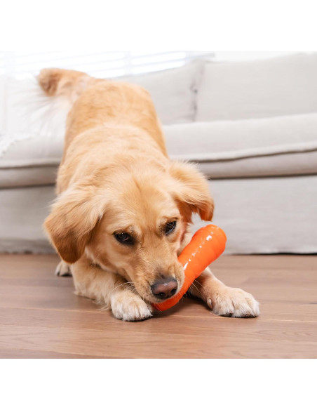 Juguete Masticable Outward Hound Zanahoria 18.4cm para Perros