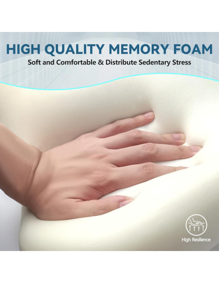 Juego de Cojín de Asiento y Almohada Lumbar JIPORIER Negro