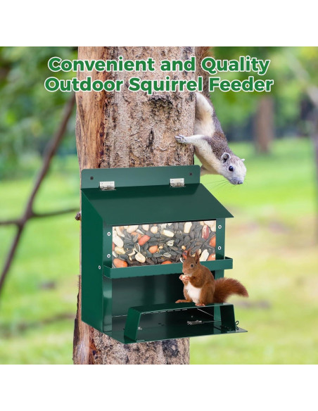 Comedero para Ardillas Anjetan con Techo Impermeable y Bandeja Extraíble