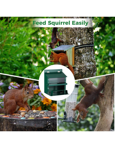 Comedero para Ardillas Anjetan con Techo Impermeable y Bandeja Extraíble