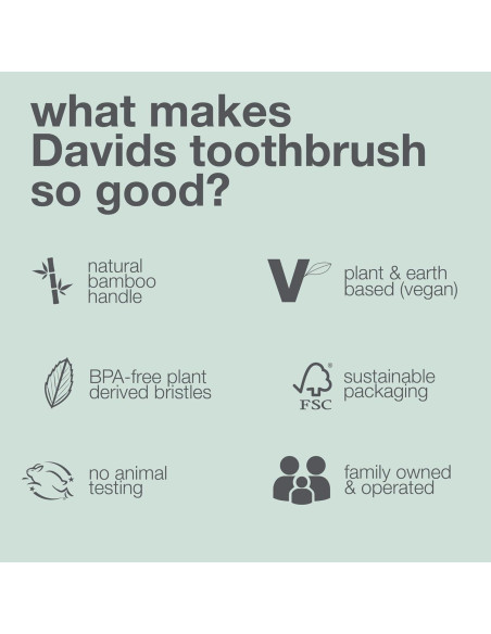 Cepillo de Dientes de Bambú Davids - Paquete de 3 Cerdas Suaves