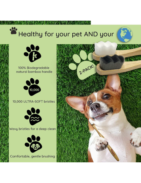 Cepillo de Dientes para Perros OH RIGBY - Cerdas Suaves 10,000