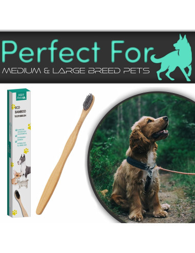 Juego de Cepillos de Dientes de Bambú H&H Pets - 3 Unidades