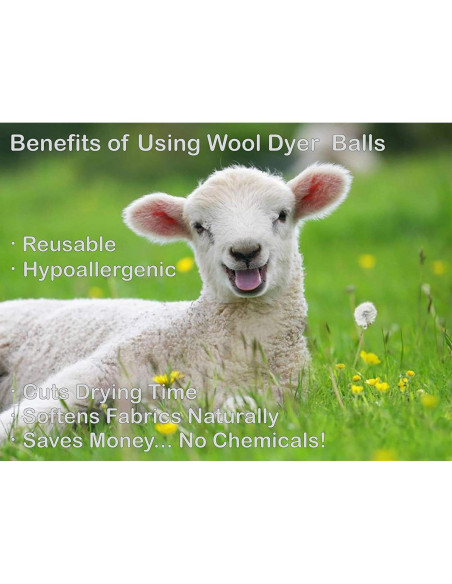 Bolas de Secado de Lana Ecojeannie - 6 Piezas XL Ecológicas