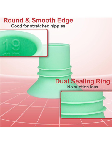 Inserto de Brida 19mm Nenesupply Compatible con Bombas